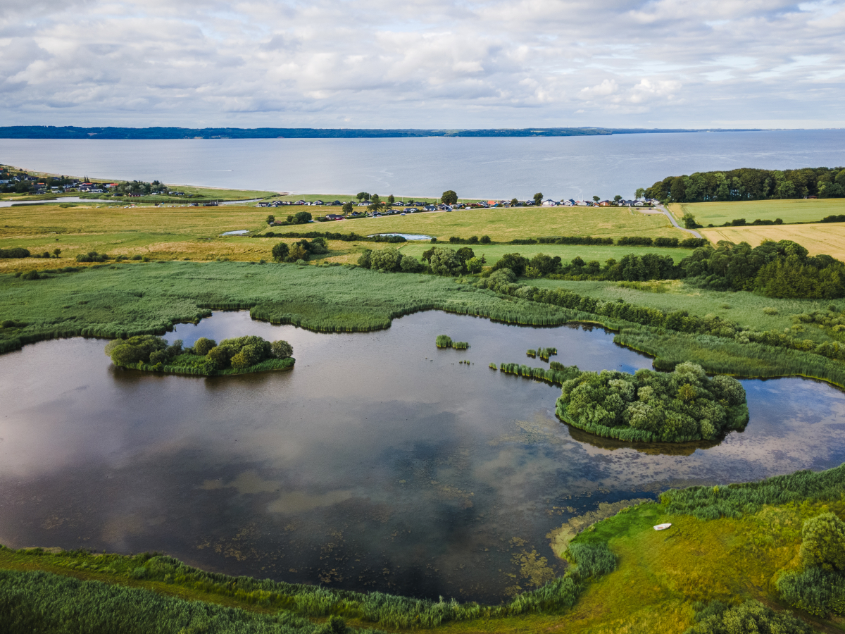 Rands fjord og Vejle Fjord