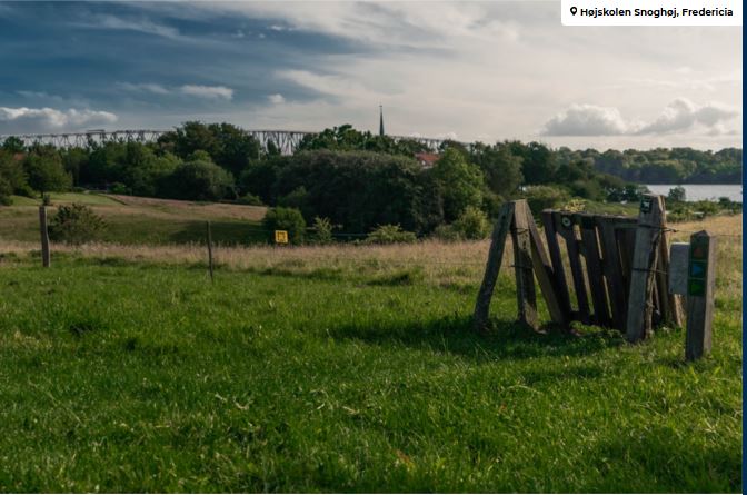 Billede af naturen ved den gamle Lillebæltsbro