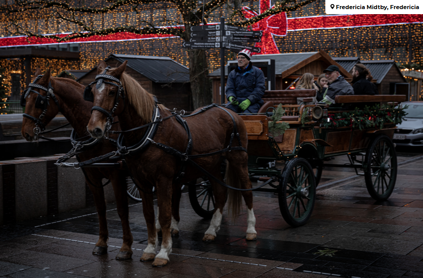 Billede af hestevogn