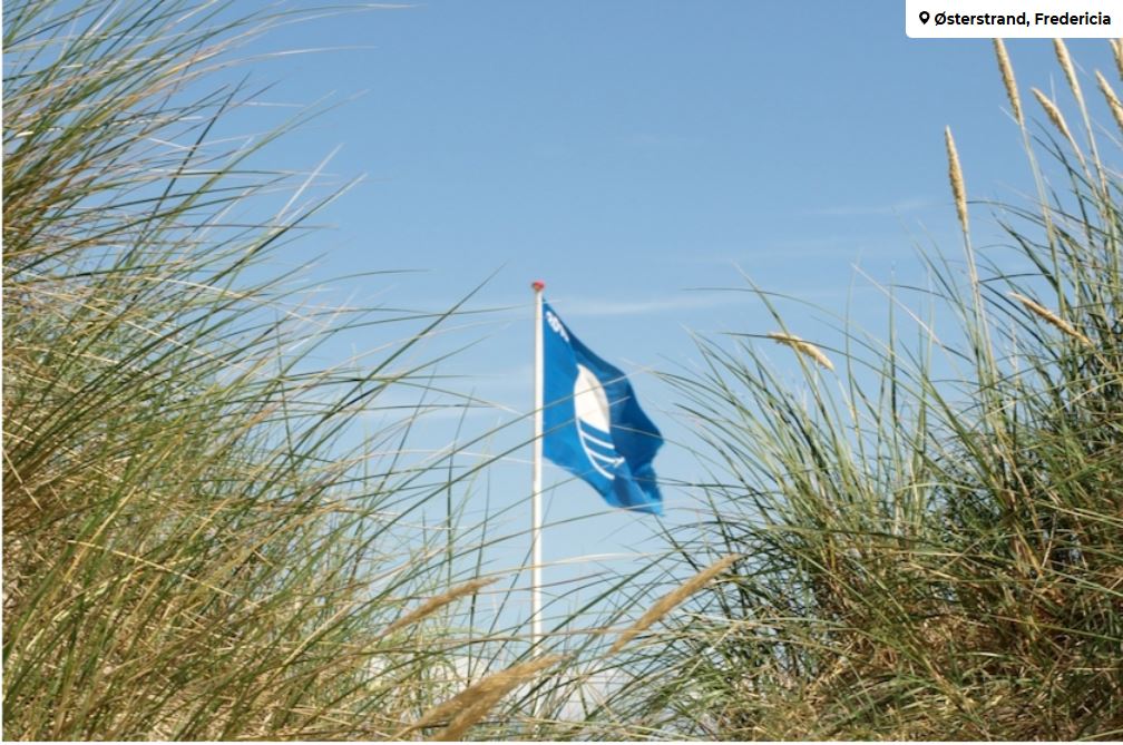 Billede af blåt flag