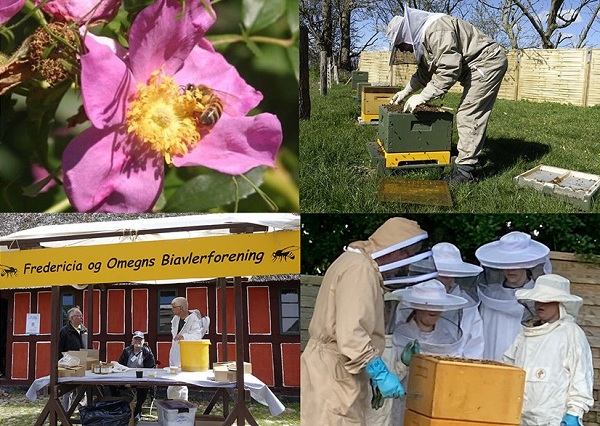 Aktiviteter i Biavlerforeningen