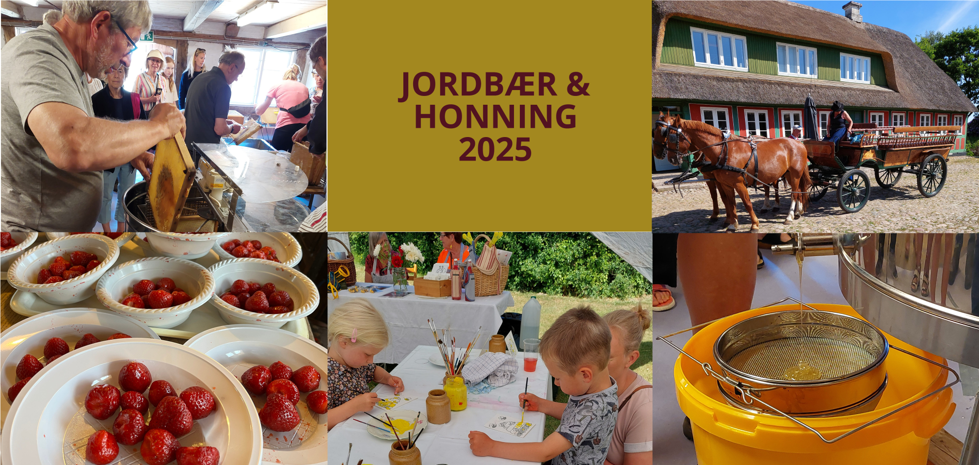 stemningsbilleder fra Jordbær & honning 2023