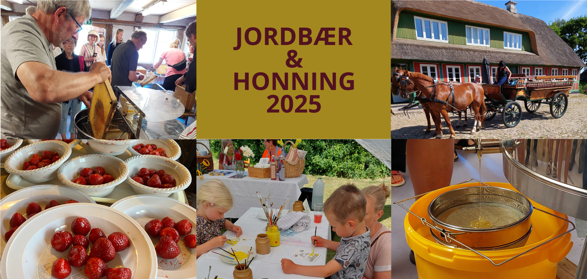 Stemningsbilleder fra Jordbær og honning