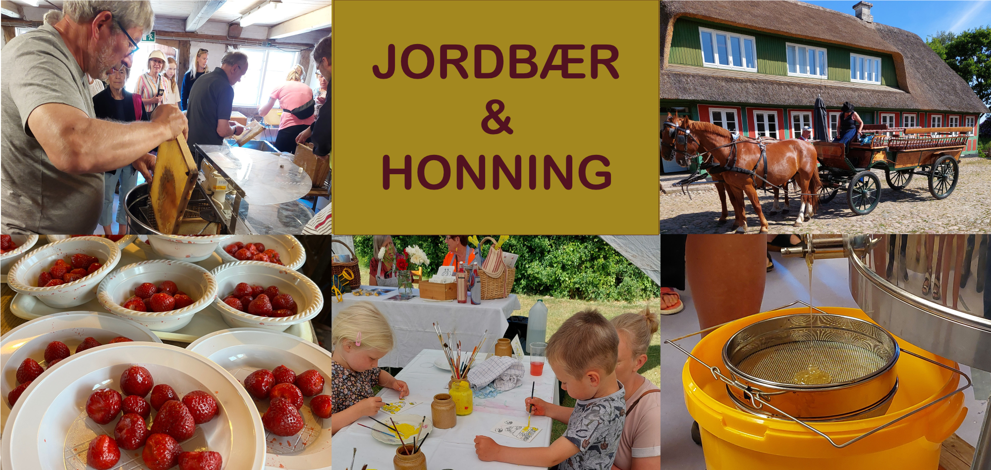 Stemningsbilleder fra Jordbær og honning