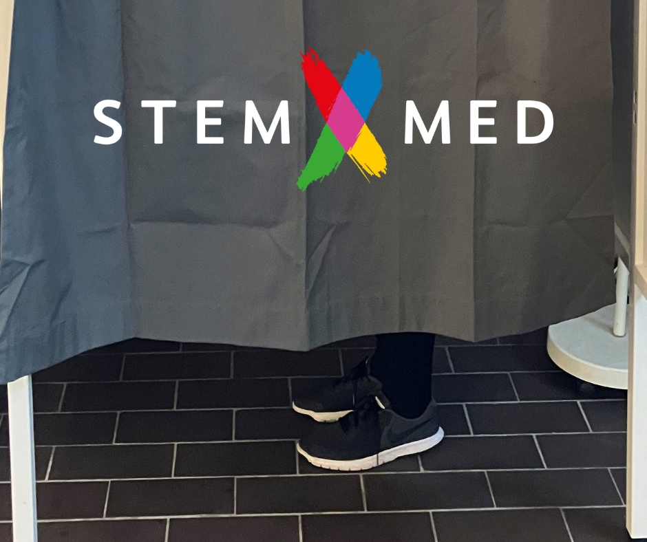 Billede af stemmeboks