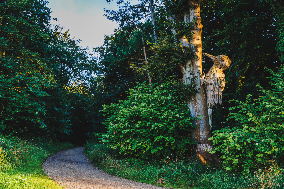 Træspætten på Trelde næs