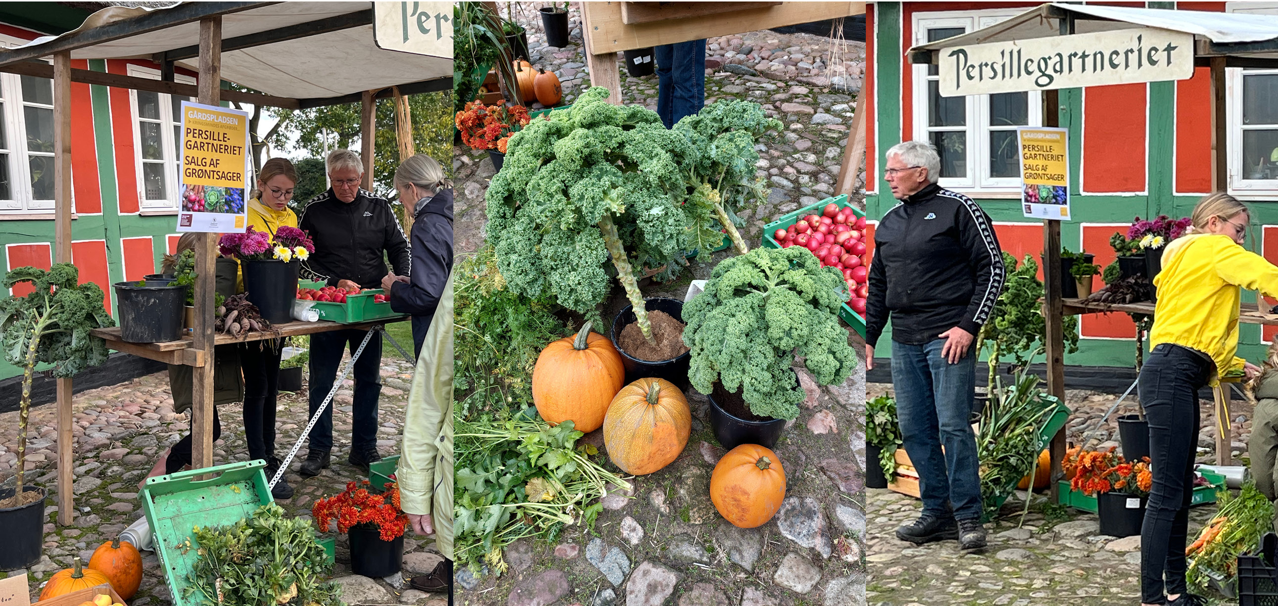 Persillegartnerne sælger deres afgrøder på Kringsminde